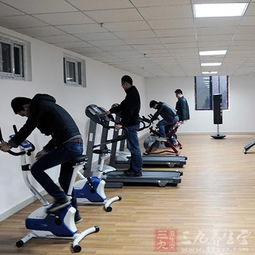 健身房器材全攻略 15种不同功能器材助你科学健身与休闲