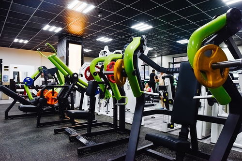 从XXL到S的华丽转身 金昌这家健身房的“造星”奇迹