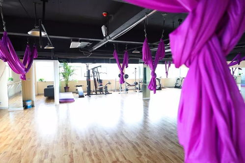 沧州东部居民福音 新文化场馆免费开放，健身休闲活动先睹为快